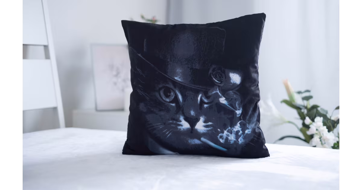 Ihned K Objednání 3D povlak na polštářek 40x40cm - Kocour