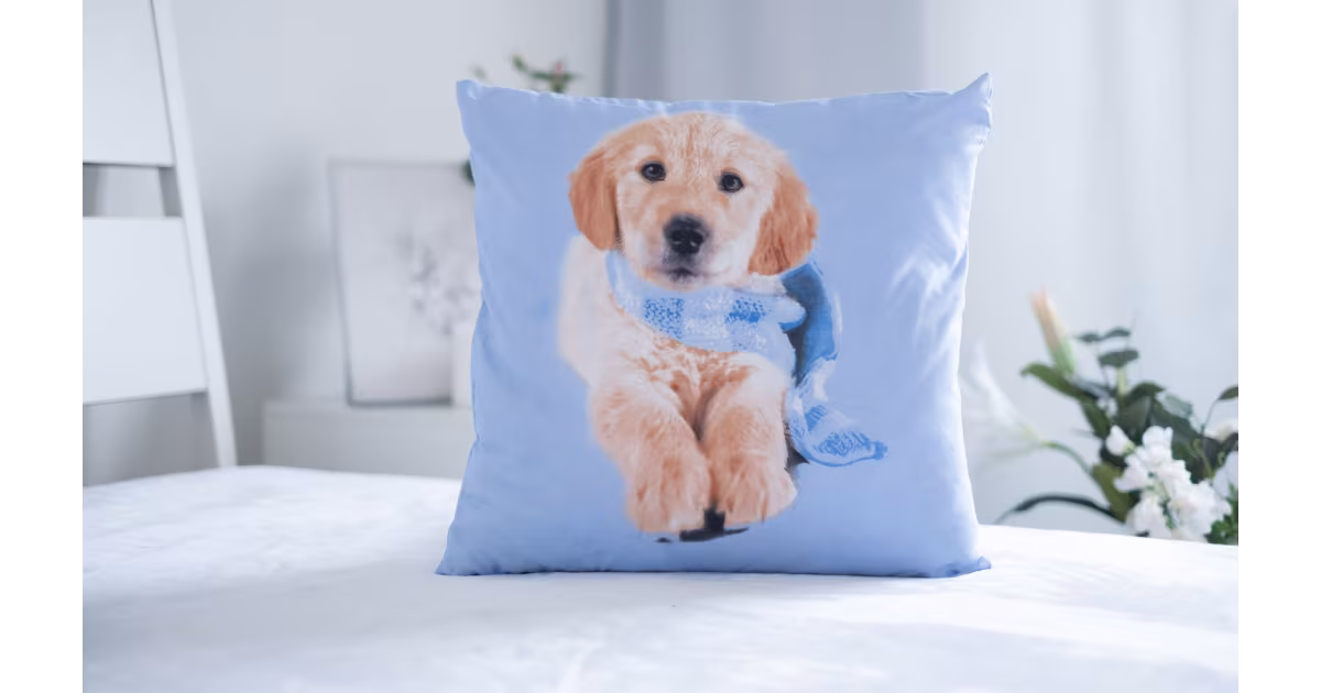 3D povlak na polštářek 40x40cm - Labrador Ověřený