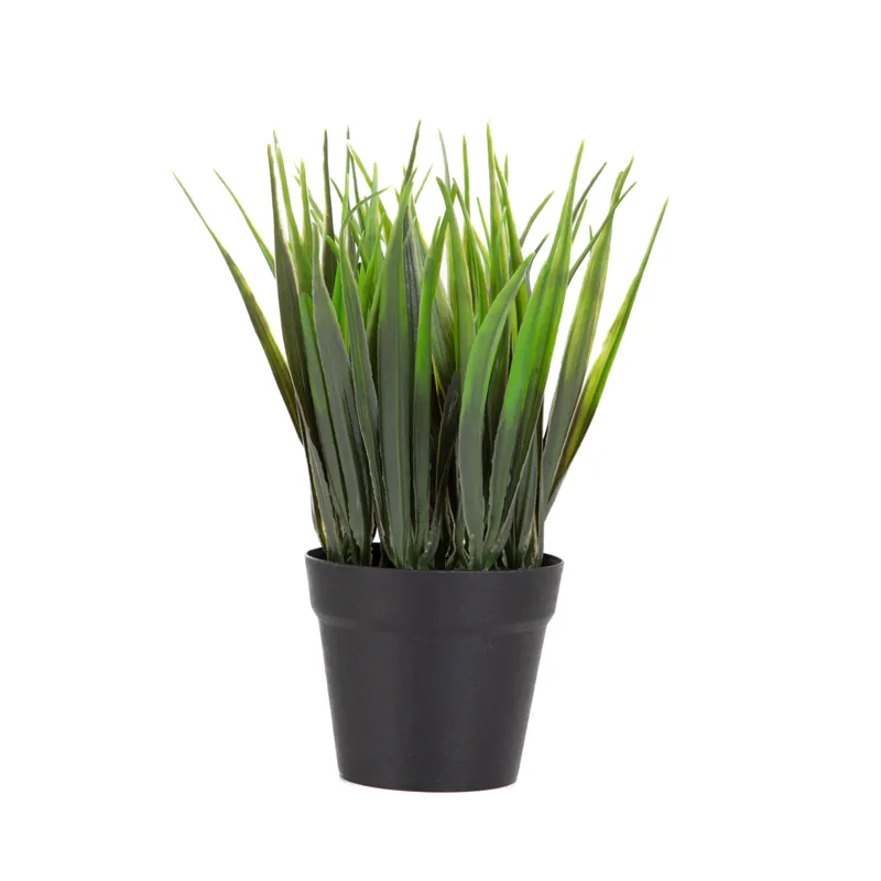 Umělá rostlina ESSENTIALS 19 cm 886039 Přímo Od Výrobce