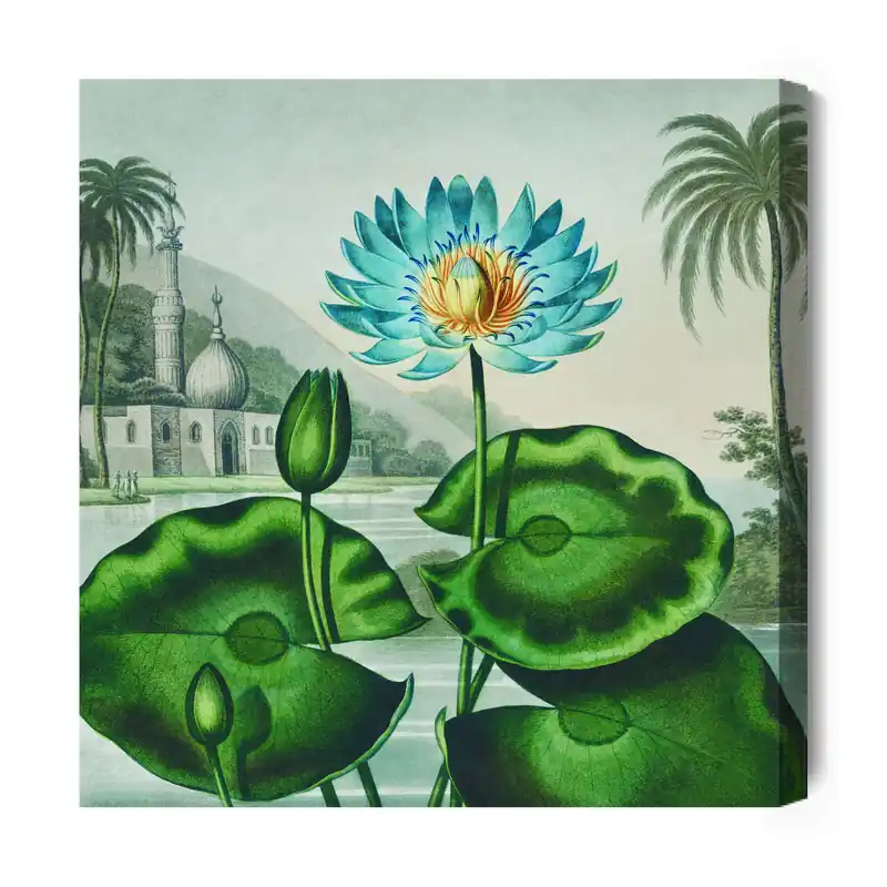 Must-Have Obraz Canvas modrý lotos - na plátně