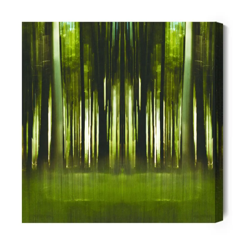 Obraz Canvas Forestiel - na plátně Ověřený