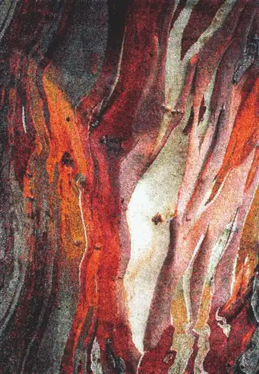 Ověřený Koberec Rust 21304-910 Red