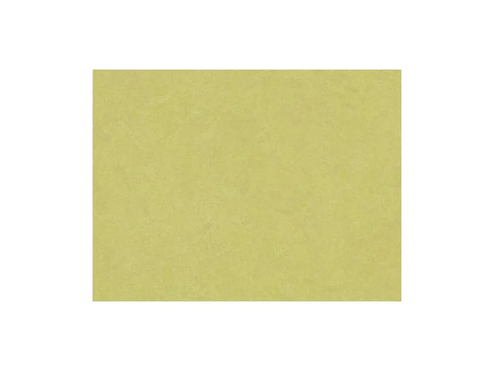 Rychlé Dodání Marmoleum HOME H66 2m šíře