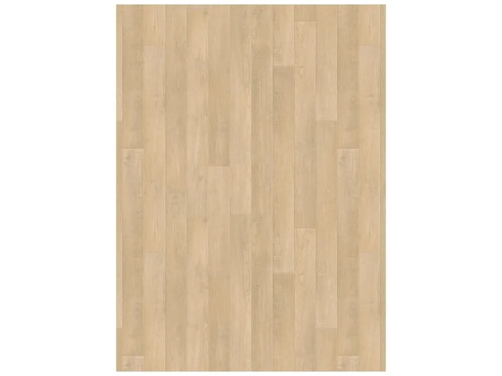 Stella Ruby - Holm oak Blonde 2m a 4m šíře Bezpečná Platba