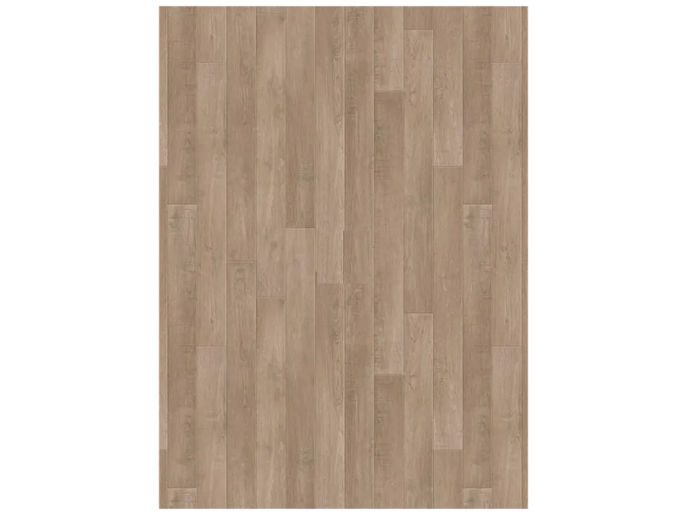 Nejprodávanější Stella Ruby - Holm oak Chestnut 2m a 4m šíře
