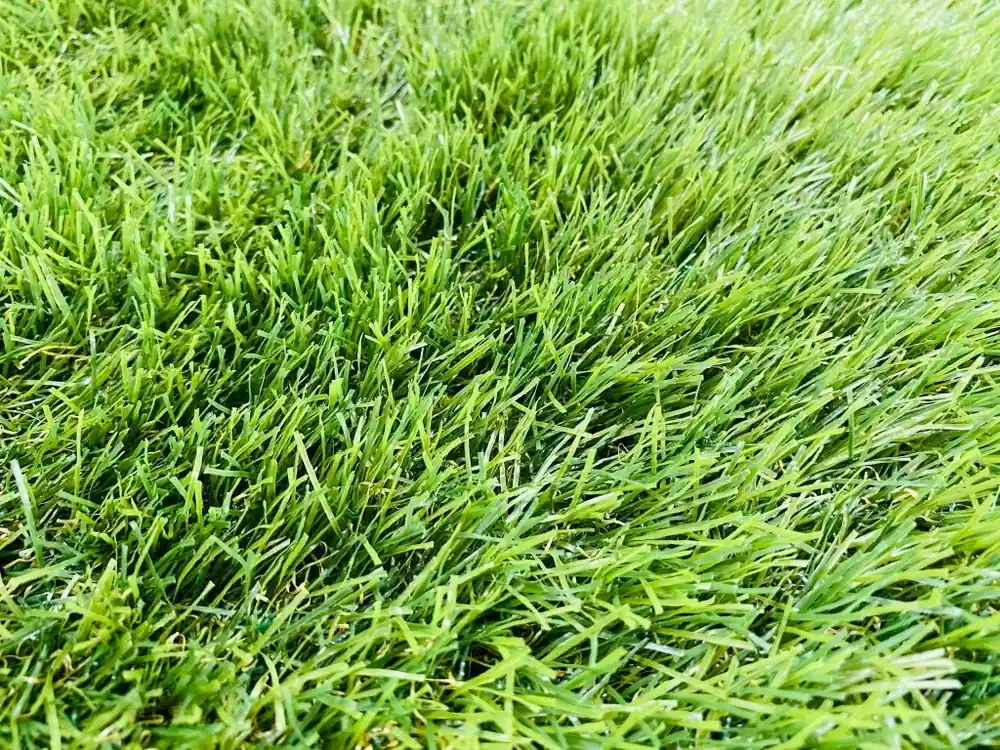 Zbytek umělý trávník - ECO Miracle 38/40 3,00 x 4,00m Novinka