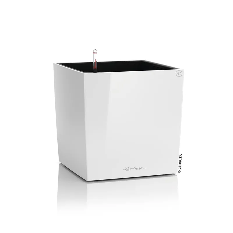 Oblíbený Samozavlažovací květináč Lechuza Cube Premium 40 bílá