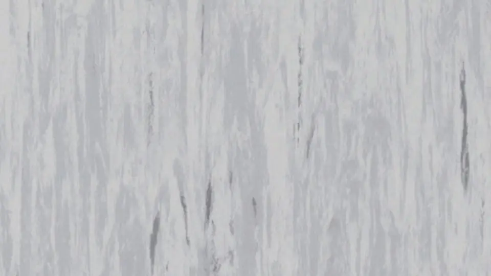 Nejprodávanější Homogenní PVC Tarkett STANDARD PLUS (2.0 mm) - Standard LIGHT BEIGE GREY 0494